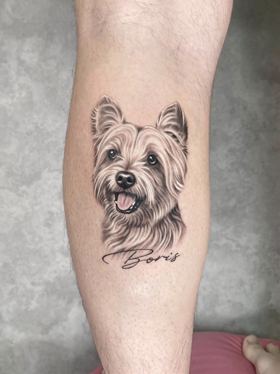 Tatuagem realista de yorkshire com o nome Boris na panturrilha