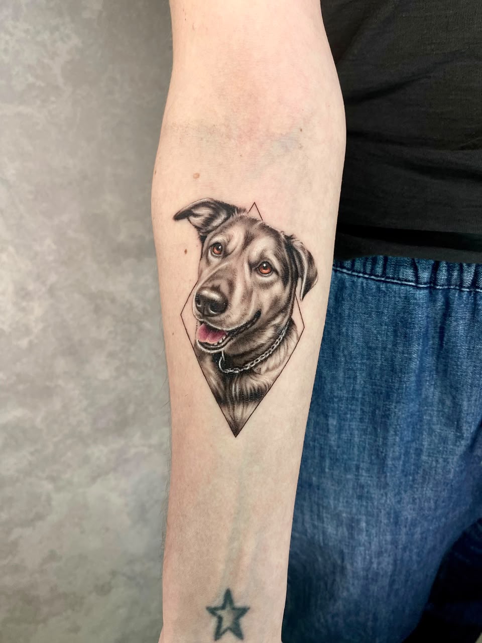 Tatuagem realista de cachorro com moldura geométrica no antebraço