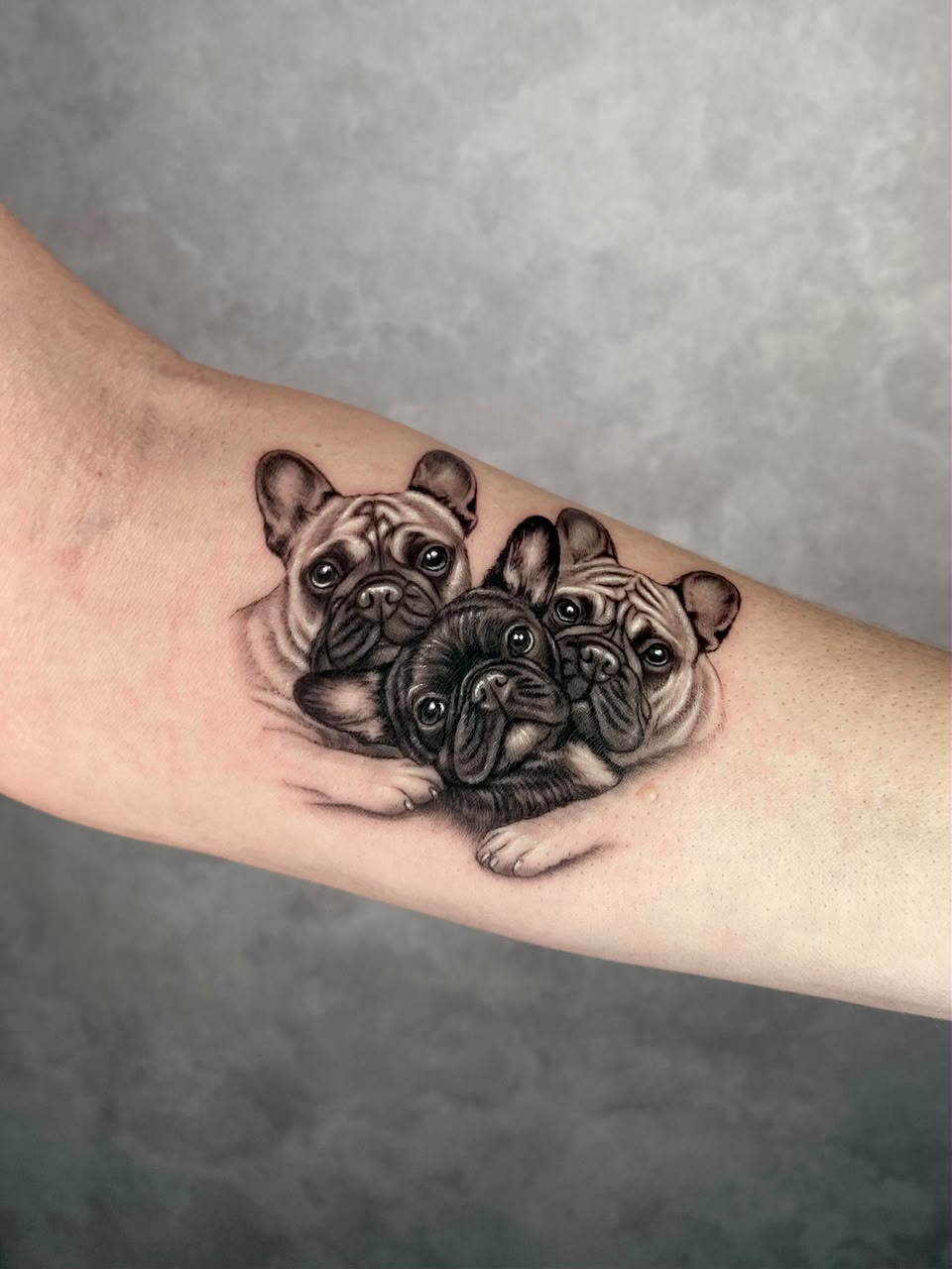 Tatuagem realista de cachorros em preto e cinza no antebraço, feita por Felipe Santos em São Paulo