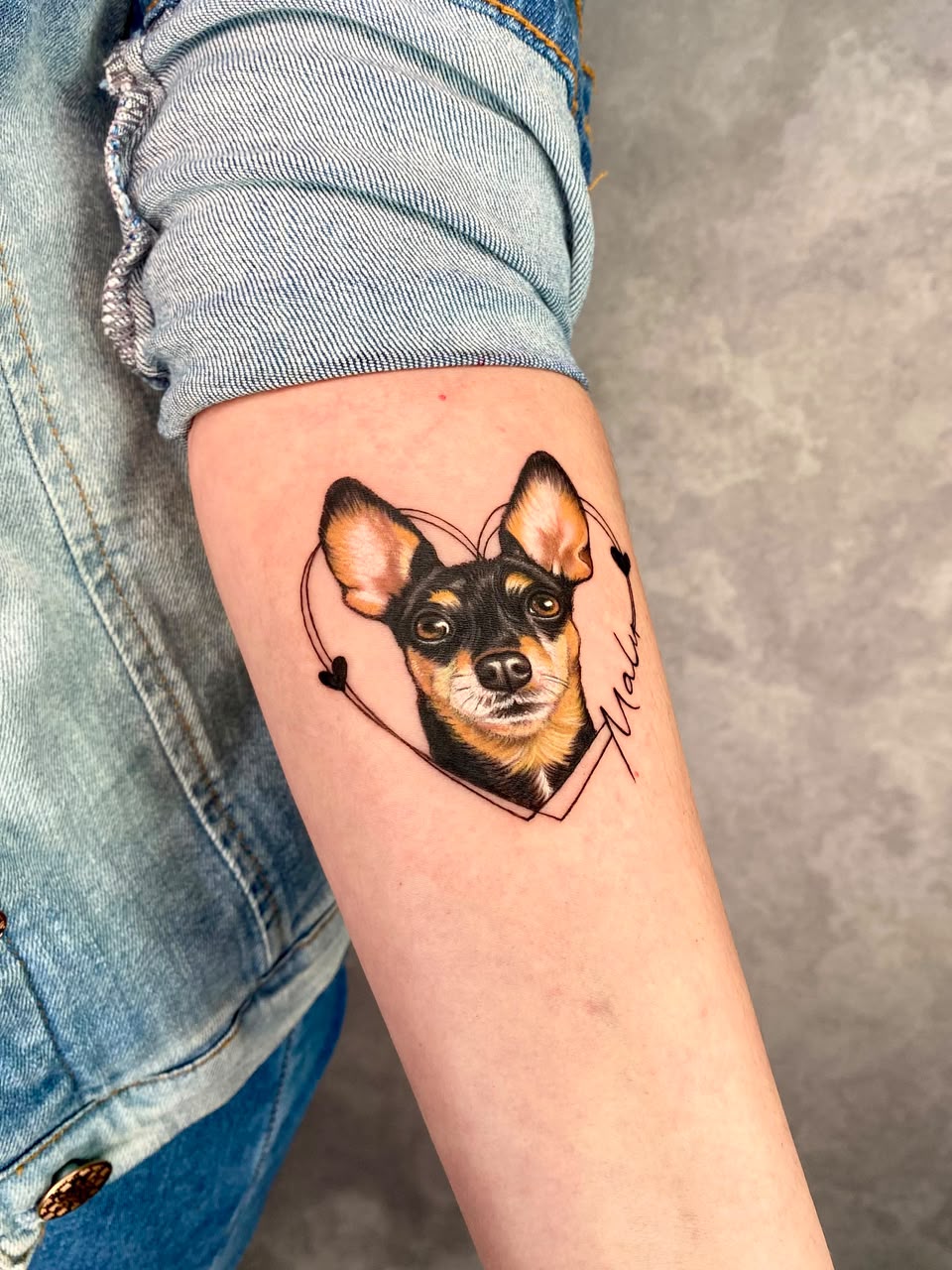 Tatuagem colorida de pinscher com coração e nome no braço